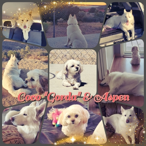 Meet your Posher, Arii - Picture 3 of 4